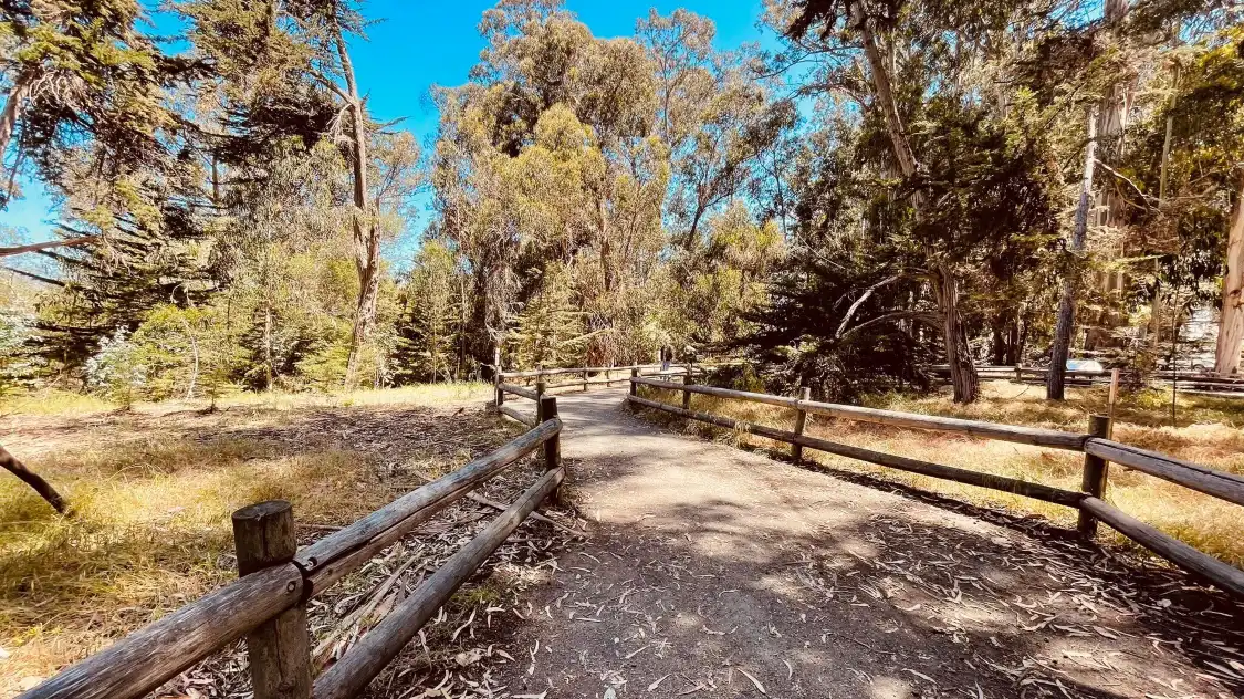 Hotels near Monarch Butterfly Grove