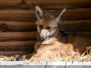 Tierpark Neumunster