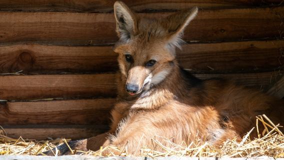 Tierpark Neumunster