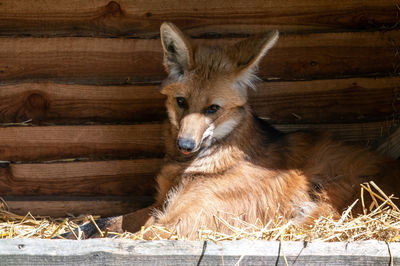 Tierpark Neumunster