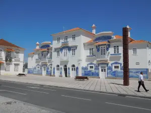 The Aveiro Salines