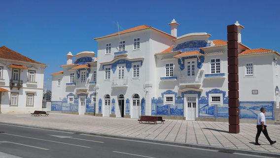 The Aveiro Salines