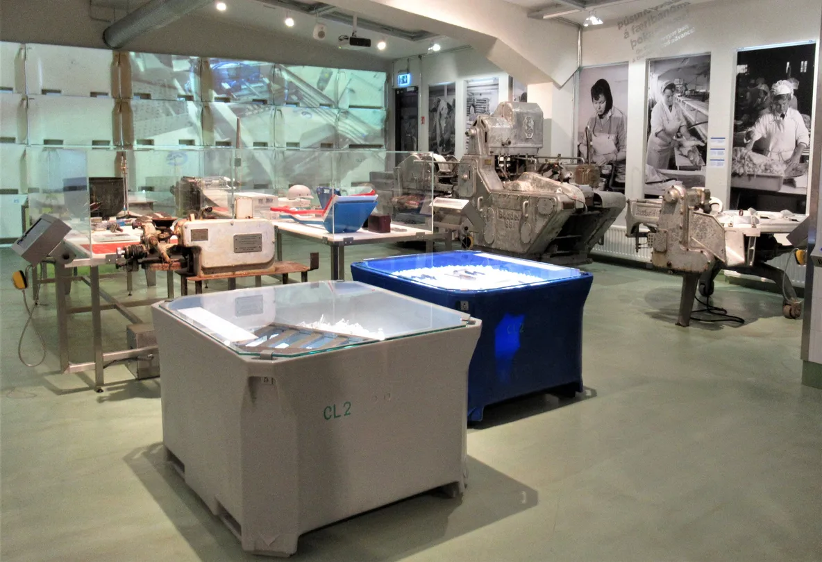 Reykjavík Maritime Museum Tickets [2026] - Promos, Prices, Reviews ...