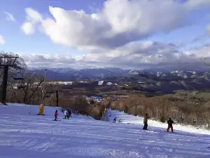 Stazioni Sciistiche a Nikkō: le opzioni più popolari