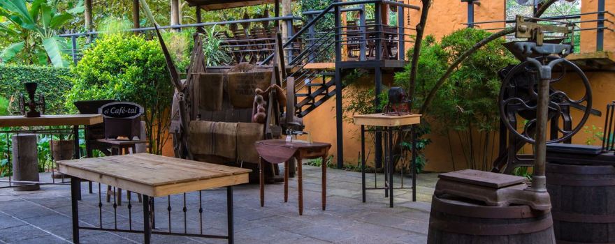 Museo del Cafe