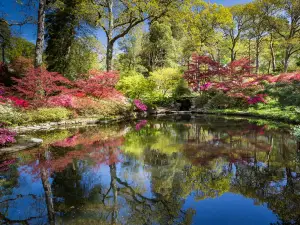 Exbury Gardens & Steam Railway