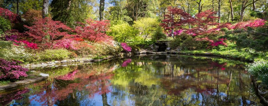 Exbury Gardens & Steam Railway
