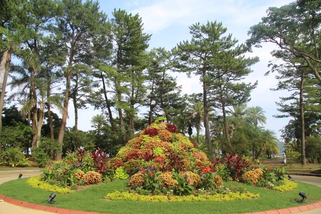 Hotels in der Nähe von Aoshima Subtropical Botanical Garden
