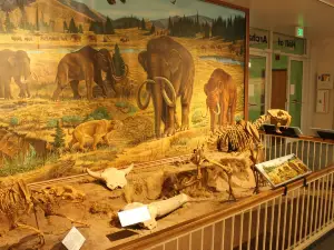 Prehistoric Museum, Utah State University Eastern