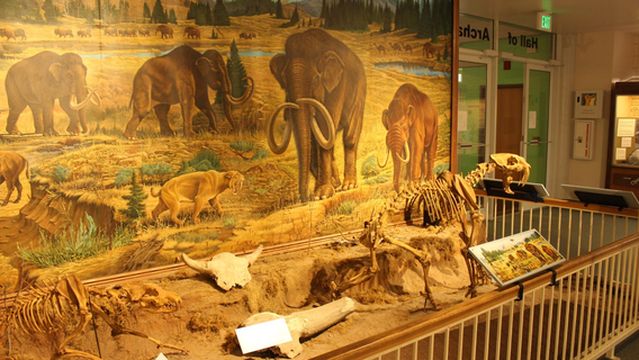 Музей доисторической эпохи Колледжа Восточной Юты