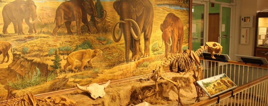 Prehistoric Museum, Utah State University Eastern