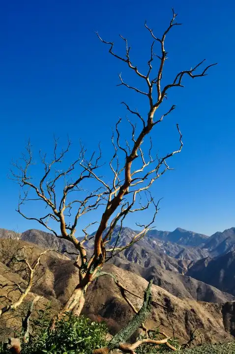 Hôtels à : Mount Wilson