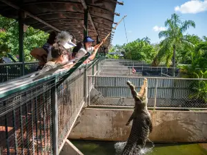 Crocodylus Park