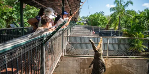 Crocodylus Park
