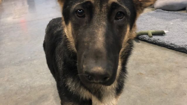 D'Alfonso-Curran Winery