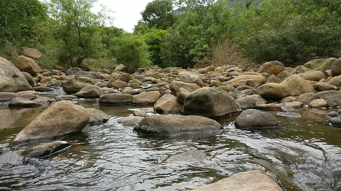 Hotels near Puliyancholai Falls