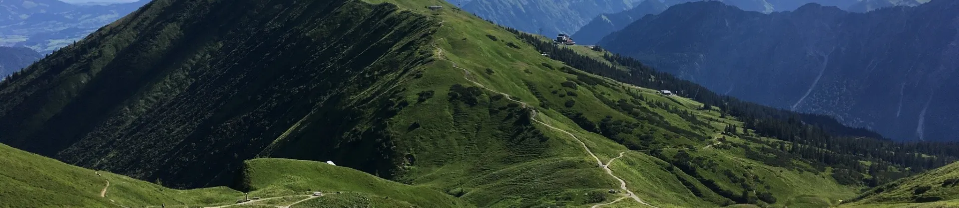 Ski
