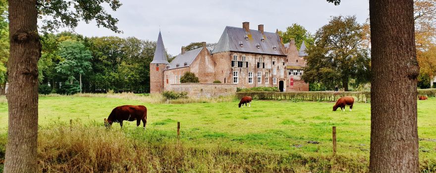 Kasteel Hernen