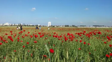 HaSharon Park