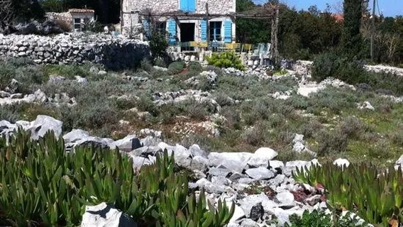 Agrotourism - The Lošinj Aromatic Garden