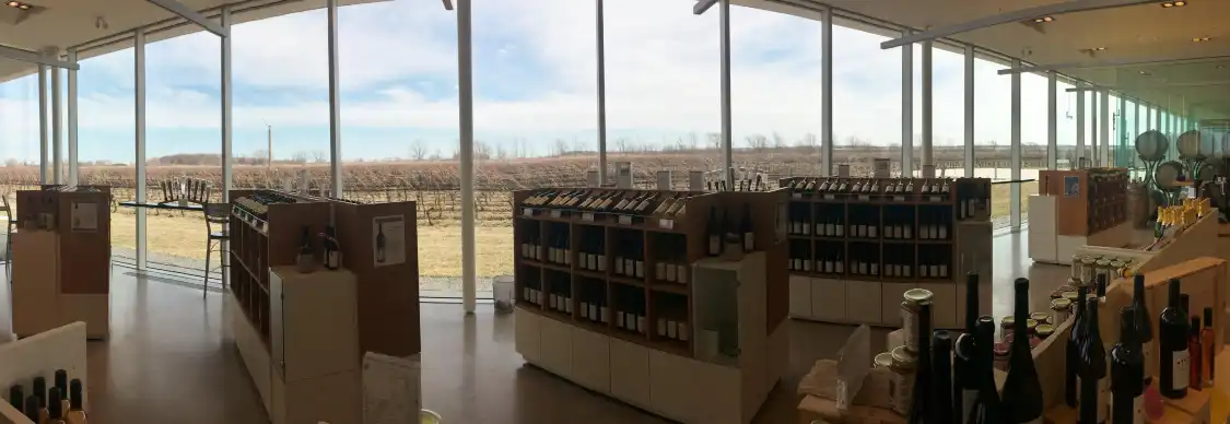 Hotels near Southbrook Organic Vineyards