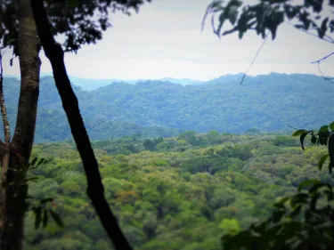 Kenema