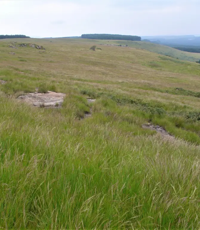 Paulpietersburg