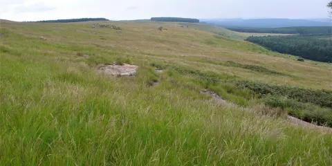 Khambula Battlefield