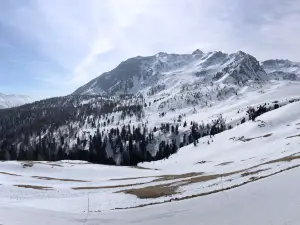 Cima Piazzi Happy Mountain