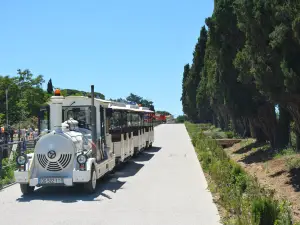 Le Petit Train