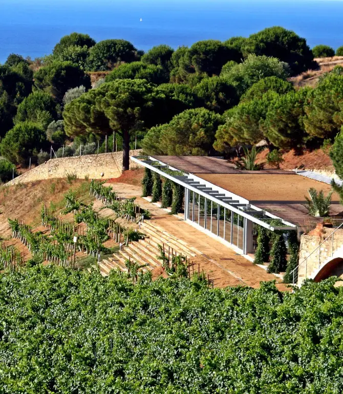 Тиана