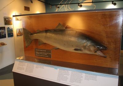 Icelandic salmon center