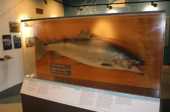 Icelandic Salmon Center