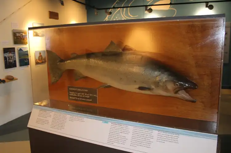 Hotels in der Nähe von Icelandic salmon center