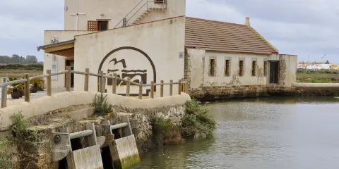 Molino de El Pintado