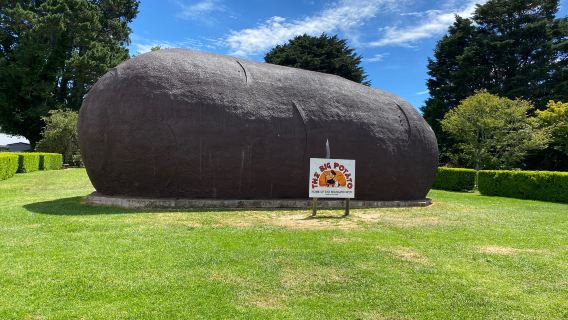 Pig (Big) Potato - Jim Mauger sculpture