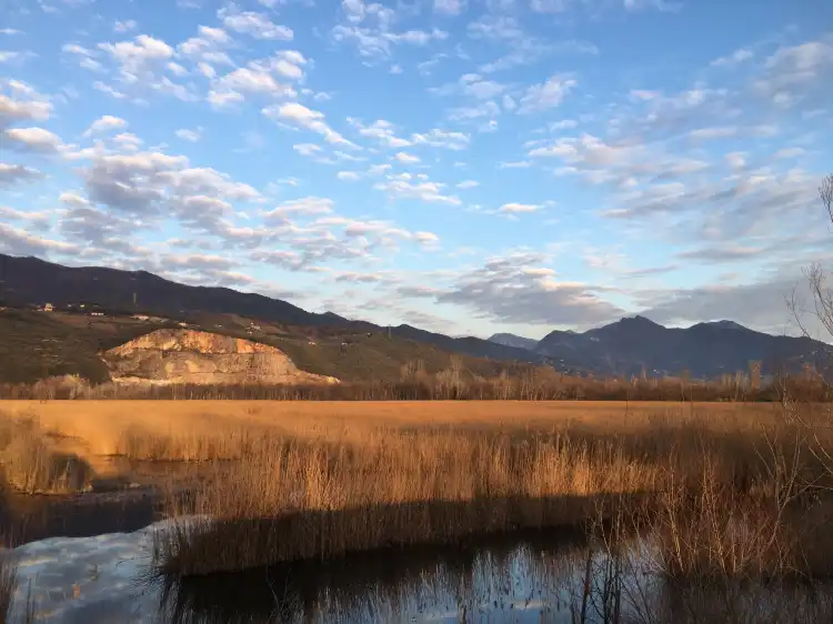 Hotels in Capanne-Prato-Cinquale