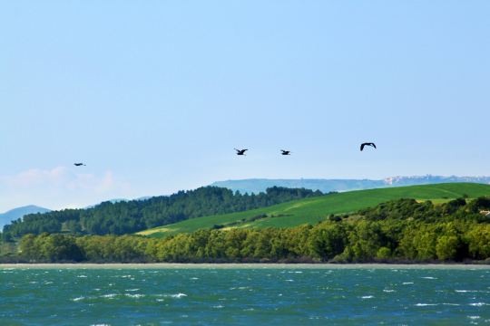 Riserva Naturale San Giuliano