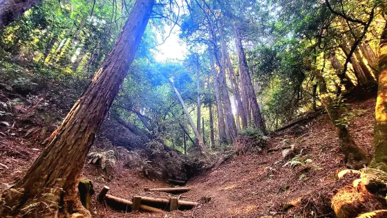 Joaquin Miller Park