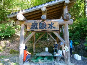 Natural Sparkling Water Well