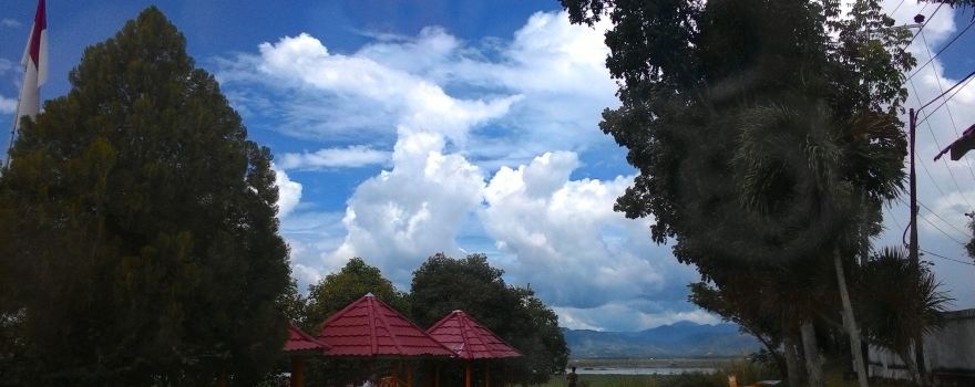 Batudaa