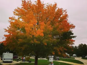 Squaw Creek Park