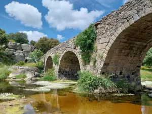 Puente Mocho
