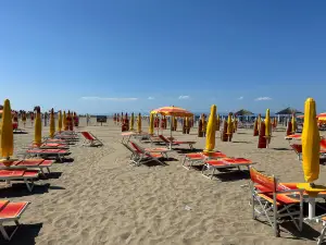 Lido Albatros
