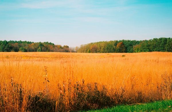 Big Creek State Park