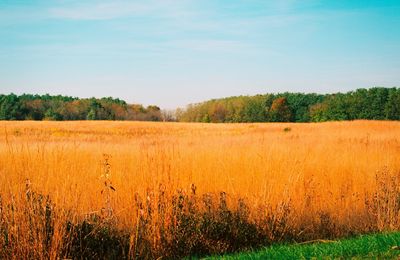 Big Creek State Park