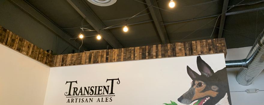 Transient Artisan Ales