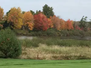 Trout Lake Golf & Country Club