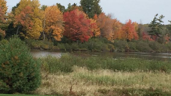Trout Lake Golf & Country Club