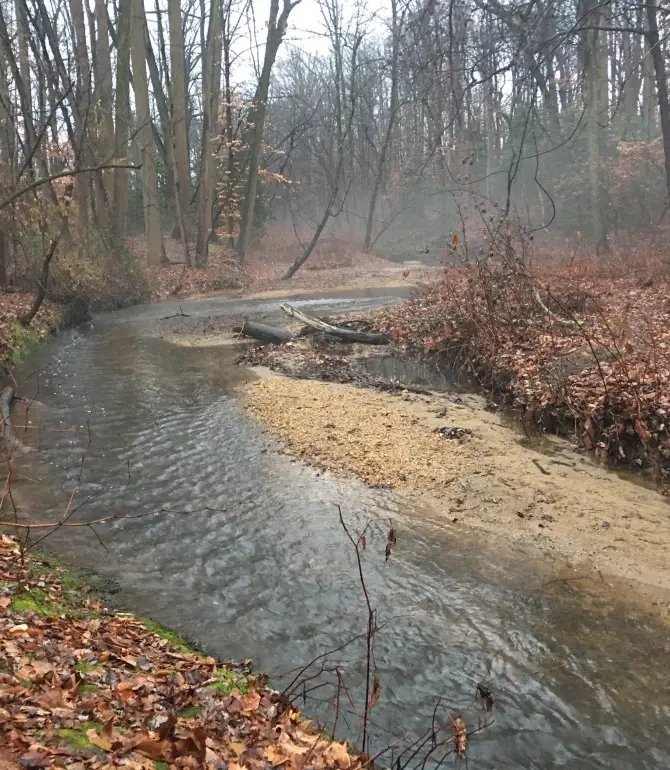 Mantua Township